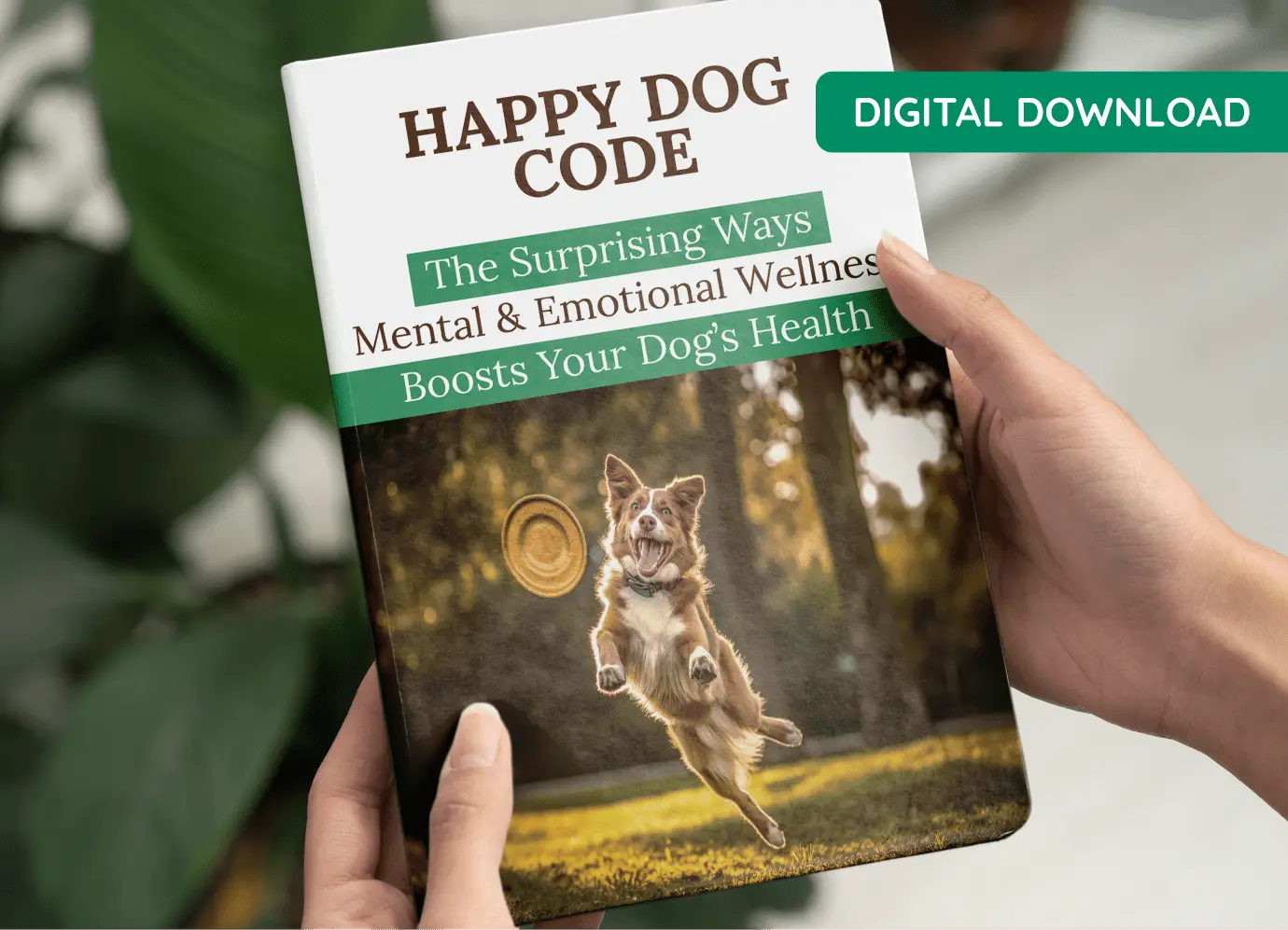 Happy Dog Code Bonus Guide