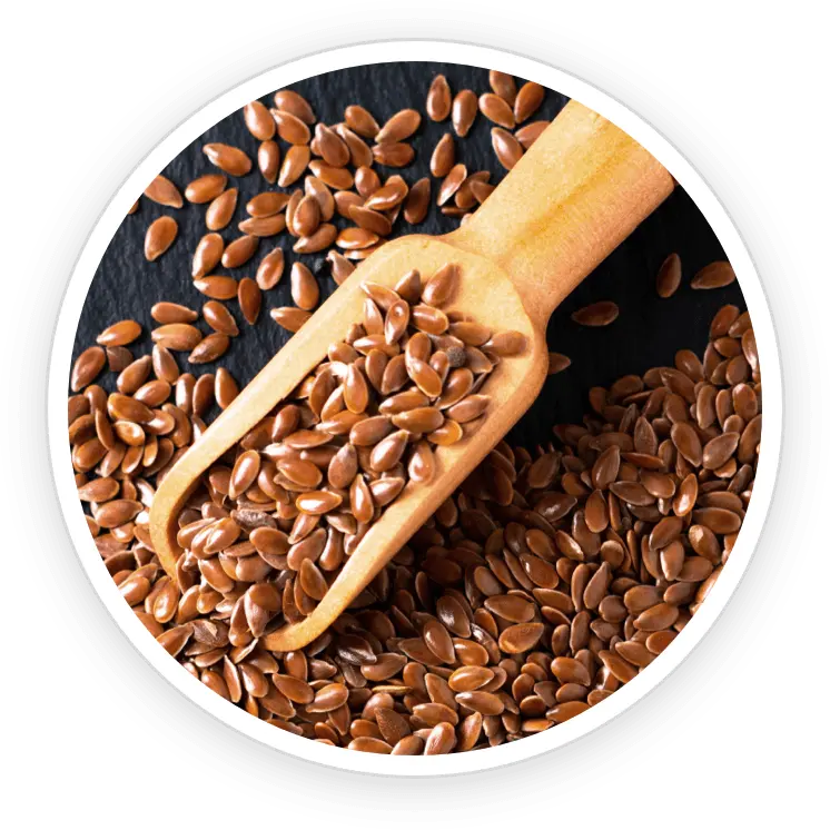 Flax Seed Powder